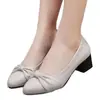 Sapatos Femininos Elegantes Versáteis da Moda 2026 Novidades de Outono Salto Quadrado Couro Macio Solado Macio Boca Rasa Sapatos para Mãe Sapatos Femininos de Couro