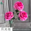 Rosa Lunar Sueño Rosa Decoración de Boda de Alta Gama Adornos para Paredes de Fondo Flores de Seda Salón de Banquetes de Hotel Flores Artificiales