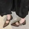 Sapatos Mary Jane Retrô de Bico Fino e Boca Rasa para Mulheres, Novo Estilo Primavera e Outono 2026, Salto Médio Estilo Francês, Adequados para Combinar com Saias, Sapatos de Couro com Salto Grosso