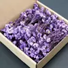 Flores secas de Gipsófila mini para Bodas, Festivales, Fiestas, Flores eternas, Accesorios de decoración de Regalos de Navidad DIY, Coloridas al por mayor