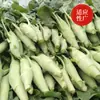 Semillas de Col Rizada Pata de Pollo al por Mayor Campo Agrícola Campo de Verduras Balcón en Maceta Cuatro Estaciones Resistente al Frío Crujiente Dulce Semillas de Col Rizada