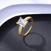 Anel Retangular de Zircônia PAG & MAG Anel de Diamante Prata 925 Anel Feminino Moda Europeia e Americana Nicho Joker Joia de Mão Flash