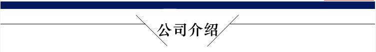 公司介绍_副本
