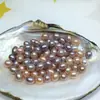 Perlas naturales de agua dulce del lago Shanxia de Zhuji, perlas de agua dulce sin nácar con forma de arroz y forma de lágrima, perlas sueltas al por mayor para manualidades DIY