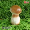 Modelo Hongo Silvestre de Yunnan Muestra Falsa Escena Arreglo Verduras Educación Temprana Decoración Accesorio Falso Rodaje Modelo Termitomyces