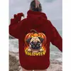 Sudadera con capucha y estampado de calabaza para cachorros transfronteriza Amazon Temuwish Una pieza al por mayor