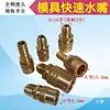 Máquina de Moldeo por Inyección Control de Temperatura del Molde Conector Rápido de Cobre para Agua 1234 Conector Rápido de Enchufe M10 M12 Boquilla de Agua de Cobre Grande y Pequeña Boquilla de Aceite