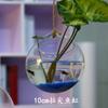 Pecera colgante creativa, jarrón hidropónico de vidrio transparente para colgar en la pared del dormitorio y la sala de estar, manualidades decorativas