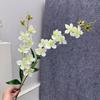 Plantas Verdes Artificiais para Casamento, Grama Aspargo Verde Estilo Floresta, Flores Artificiais Verdes, Materiais Florais Artificiais para Casamento, Série de Decoração para Salão de Casamento