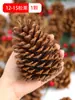 Decoración de Piñas Piñas Silvestres Ramas Secas Jardín de Infancia Piñas Creativas Navidad Hecho a Mano Materiales DIY Adornos de Virutas de Madera