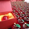 Decorações de Maçã de Cristal Presente Seguro Aniversário Presente de Feriado Carro Festival Enfeites Criativos Carro Novo Natal para Namorada