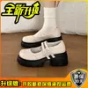 Zapatos Mary Jane gruesos versátiles de estilo dulce para uso diario para mujer, nuevo modelo 2026, tacón grueso simple y de alta gama, zapatos universitarios versátiles