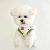 Chaleco para Perro Pequeño, Mediano y Grande Perro Teddy Amargo Panda Gato Pomei Perro Ropa para Mascotas Verano Gato Productos Delgados