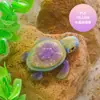 Adornos Luminosos de Tortuga Nuevos Impresos en 3D con Articulaciones Móviles y Manualidades de Plástico Sólido Impreso para Paisajismo de Acuarios