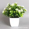 Plantas Artificiais Mais Vendidas Transfronteiriças, Plantas Falsas, Plantas Verdes, Decoração Interna e Externa, Plantas em Vasos de Plástico, Pequenas Plantas de Eucalipto em Vasos