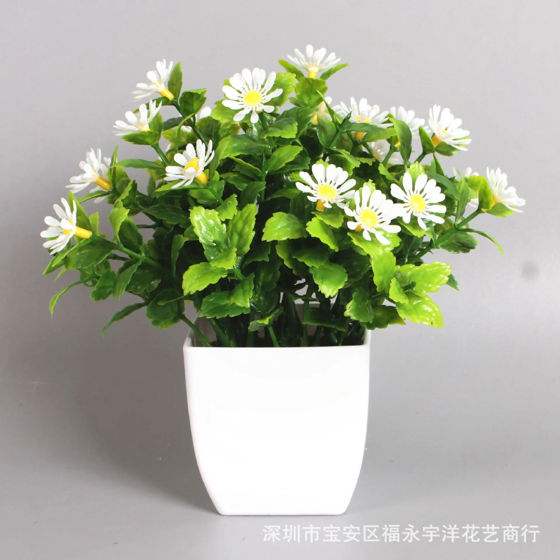 IMG_0840_副本.jpg