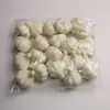Frutas e Vegetais Simulados, Maçãs Falsas, Bananas, Pêssegos, Morangos, Limões, Pimentas, Decorações de Modelo, Adereços de Fotografia, Vegetais Falsos