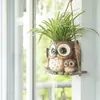 Artesanía de Resina Nueva Transfronteriza Adornos de Animales Decoración de Jardín Dibujos Animados Lindos Suculentas Búho de Escritorio Maceta de Flores