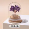 Jingde Jewelry Botella de los Deseos de Cristal Natural Adorno de Árbol del Dinero Atrae-Riqueza Decoración de Escritorio de Oficina Venta al por Mayor