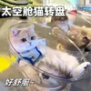 Novo Ninho para Gato Cápsula Espacial, Adequado para Todas as Estações, Ninho de Gato de Verão, Brinquedo Giratório para Gato, Cama para Gato, Brinquedo Tudo-em-Um para Gato