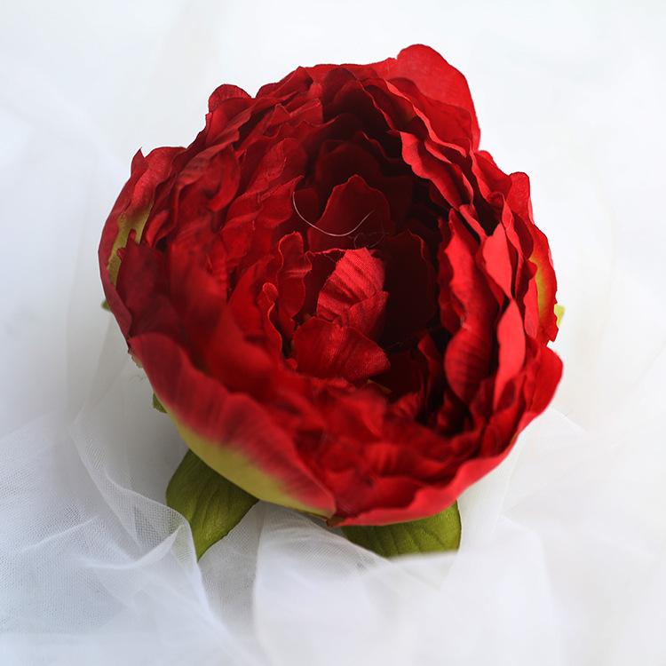 8M9A4387.JPG