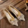 Novos Sapatos de Casamento Borboleta Cor Champanhe 2025 para Mulheres, Bico Fino Salto Baixo Salto Alto