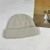 Gorro de piel de melón tejido de moda de otoño e invierno de producción propia, gorro femenino coreano de color sólido, gorro Baotou cálido para exteriores, gorro frío