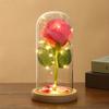 Criativo Tanabata Dia dos Namorados Rosa Decoração de Mesa Nova Flor Eterna Tampa de Vidro Luz Noturna Abajur de Flor