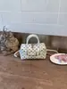Bolsa de Mão de Bolinhas para Mulheres 2026 Novo Estilo de Verão Exquisite de Alta Qualidade Luxo Leve Nicho para o Dia a Dia Bolsa de Ombro Transversal