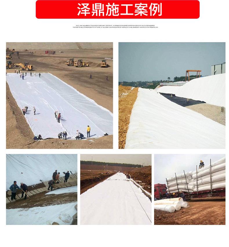 土工布_11.jpg