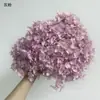 Flores de Hortensia Secas con Degradado Grande Hortensias Conservadas Cabezas de Flores Grandes Color Mixto Multicolor Hortensias Secas Decoración del Hogar Materiales Florales