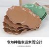 Maceta de cerámica blanca para flores de madera de Brasil, madera de la suerte, buena combinación de plantas hidropónicas, maceta de resina con hoja de loto para mesa