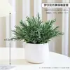 Lujo Ligero Estilo Escandinavo Planta Potos Simulada Bonsái Flores Artificiales Adornos Hoja de Tortuga Maceta Mesa Decoraciones de Flores Falsas