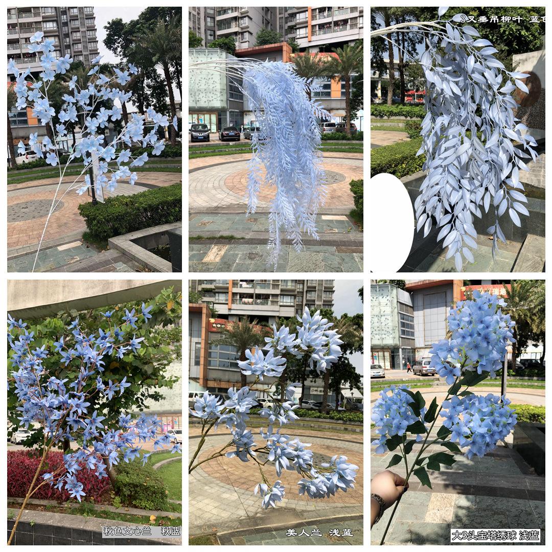 NeoImage_副本.jpg