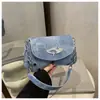 2025 nueva textura bolso pequeño mujer otoño versátil bandolera moda nicho hombro bandolera axila bolso mujer