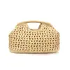 2026 Nueva Moda de Primavera Bolso de Mano Tejido Bolso Cruzado de Paja Hueca Bolso de Playa Vacaciones