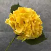 Película Western Americana Tacto a Mano Hortensia Accesorios para el Hogar Florales Lavable Hortensia de Cabeza Única con Hoja Accesorios de Boda