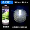 Aquário de Blocos de Construção de Acrílico para Visualização de Peixes de Briga, Estrelas-do-Mar, Caranguejos Eremitas e Águas-vivas; Aquário Mini Transparente Criativo de Blocos de Construção