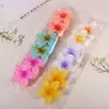 Nuevo pasador de pelo acrílico de frangipani de colores, pinza de flor, accesorio para el cabello elegante y sofisticado para mujer, pinza de tiburón lateral