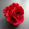 Cabeças de Flores de Rosa Redondas de Feltro Clássicas Atacado em Estoque, Coroas de Flores para Carro, Arranjos de Flores de Parede, Artesanato com Flores, Flores Artificiais