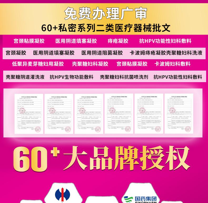 二类医疗器械模板_02.png