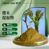 Extrato de Acanthopanax 10:1 Fabricante Original Shaanxi Huike Extrato de Acanthopanax a Pronta Entrega Frete Grátis