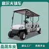 Fabricante Personaliza Carritos de Golf de 6 Plazas, Vehículos Eléctricos de Transporte y Vehículos de Patrulla Turística para Zonas Escénicas