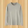 Camiseta de manga larga para hombre de primavera y otoño, sudadera holgada de cuello redondo, camiseta base de color liso, top casual de moda