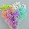 Arranjo de Flores para Decoração de Casa, Estilo Fresco e Natural, Flores Preservadas, Buquê Sonhador de Gipsofila Estrelada Atacado