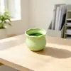 Maceta Cuadrada Pequeña de Plástico de Moda para Decoración del Hogar, Planta en Maceta Simulada DIY Jardinería de Interior Arreglo Floral Maceta Pequeña