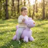 Caballo saltador Barbie elfo caballo inflable PVC juguete inflable para niños ciervo saltador al por mayor caballo de goma una generación de pelo