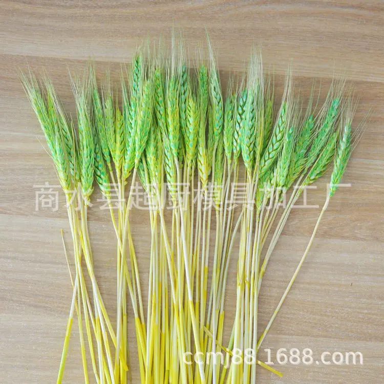 麦穗彩-(18)