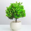 Planta Verde en Maceta Bonsái de Nanmu de Seda Dorada, Plántulas de Árbol de Tocón Viejo, Decoración Interior de Oficina, Planta con Flores para la Prosperidad