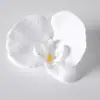 Cabezas de flores artificiales de orquídea mariposa, materiales para flores de pared, materiales para pasadores y accesorios para el cabello hechos a mano para DIY, piezas de flores y accesorios de pétalos para decoración de bodas